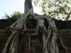 Ta Prohm