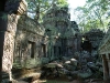 Ta Prohm