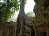 Ta Prohm