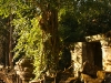 Ta Prohm