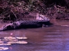 australien_kakadu_nationalpark_15