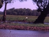 australien_kakadu_nationalpark_20