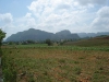 Cuba, Vinales, dsc04063