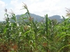 Cuba, Vinales, dsc04067