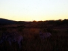 south_africa-59