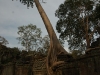 Preah Khan