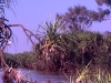 australien_kakadu_nationalpark_16