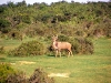 south_africa-22