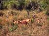 south_africa-35